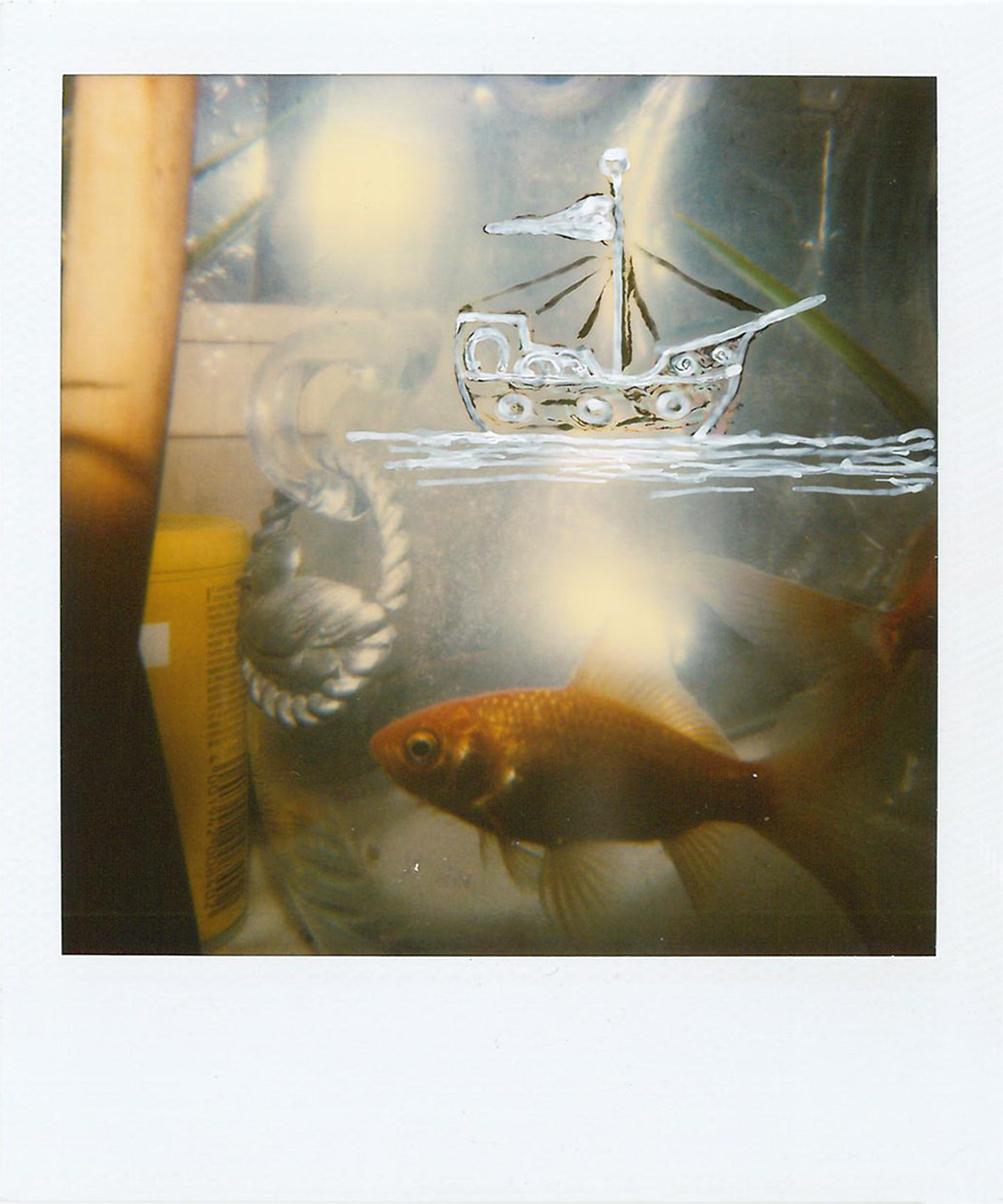 POLAROID